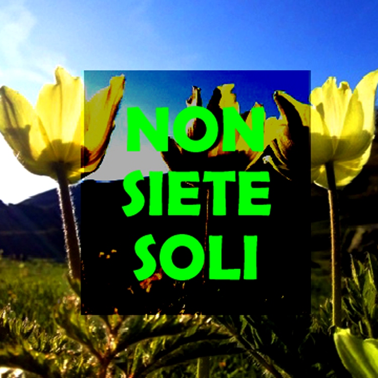 Non siete soli