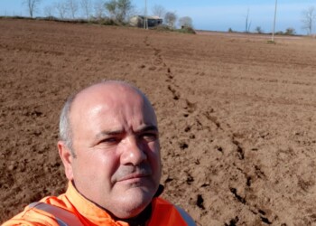 Ora io dico allo stato italiano come ci muoviamo