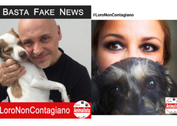 Contro le Fake News su Coronavirus e Animali, il Partito Animalista Italiano Denuncia post e false informazioni con la campagna #LoroNonContagiano