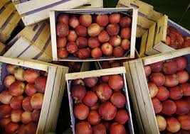 Coronavirus: Coldiretti, cibo garantito da 750 mila aziende