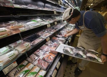 Coronavirus: il freezer salva la spesa di pesce in famiglia