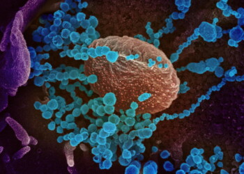 Coronavirus: Italia, settimana decisiva per capire l’andamento