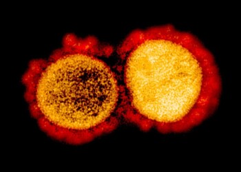 Coronavirus, mutazioni frequenti ne facilitano la diffusione
