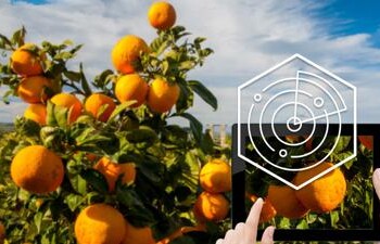 Coronavirus: Openjobmetis, 1.000 opportunità lavoro in agroalimentare 