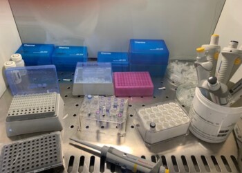 Coronavirus: Trentino, età malati più bassa di zone limitrofe