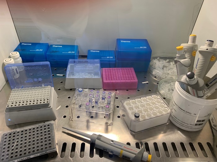 Coronavirus: Trentino, età malati più bassa di zone limitrofe