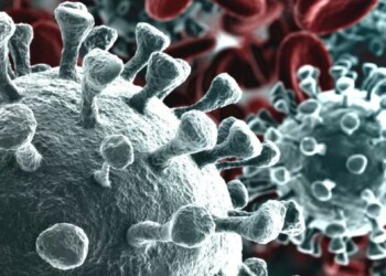 Coronavirus:FVG 126 casi positivi al Covid