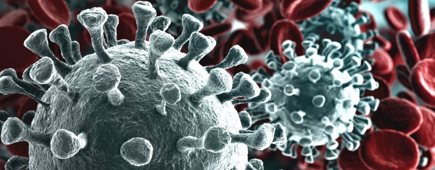 Coronavirus:FVG 126 casi positivi al Covid