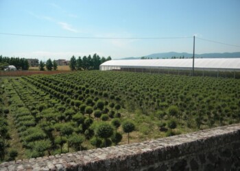 Coronavirus:vivaisti,blocchi a frontiere