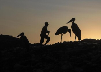 Da ragazzo di strada in Kenya a gastronomo, storia di Duncan