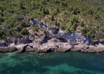 Dai molluschi ai cervi, il menù mare e monti dei Neanderthal