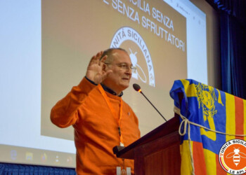 Coronavirus:  Fleres-Subito in decreto sospensione provvedimenti esecutivi per famiglie e imprese