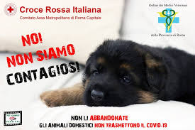https://www.corriere.it/animali/20_marzo_17/coronavirus-via-campagna-noi-non-siamo-contagiosi-contro-l-abbandono-animali-64f8f13a-6827-11ea-9725-c592292e4a85.shtml