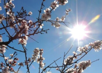 Il 20 marzo l’equinozio di primavera, negli Usa in anticipo