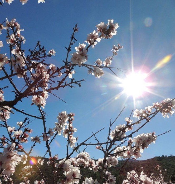 Il 20 marzo l’equinozio di primavera, negli Usa in anticipo