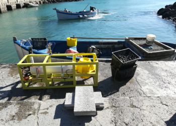 Ambiente: Liguria, laboratorio sottomarino per monitorare il mare e testare nuove tecnologie