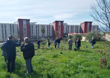 In ospedale ‘Un albero per ogni nato’