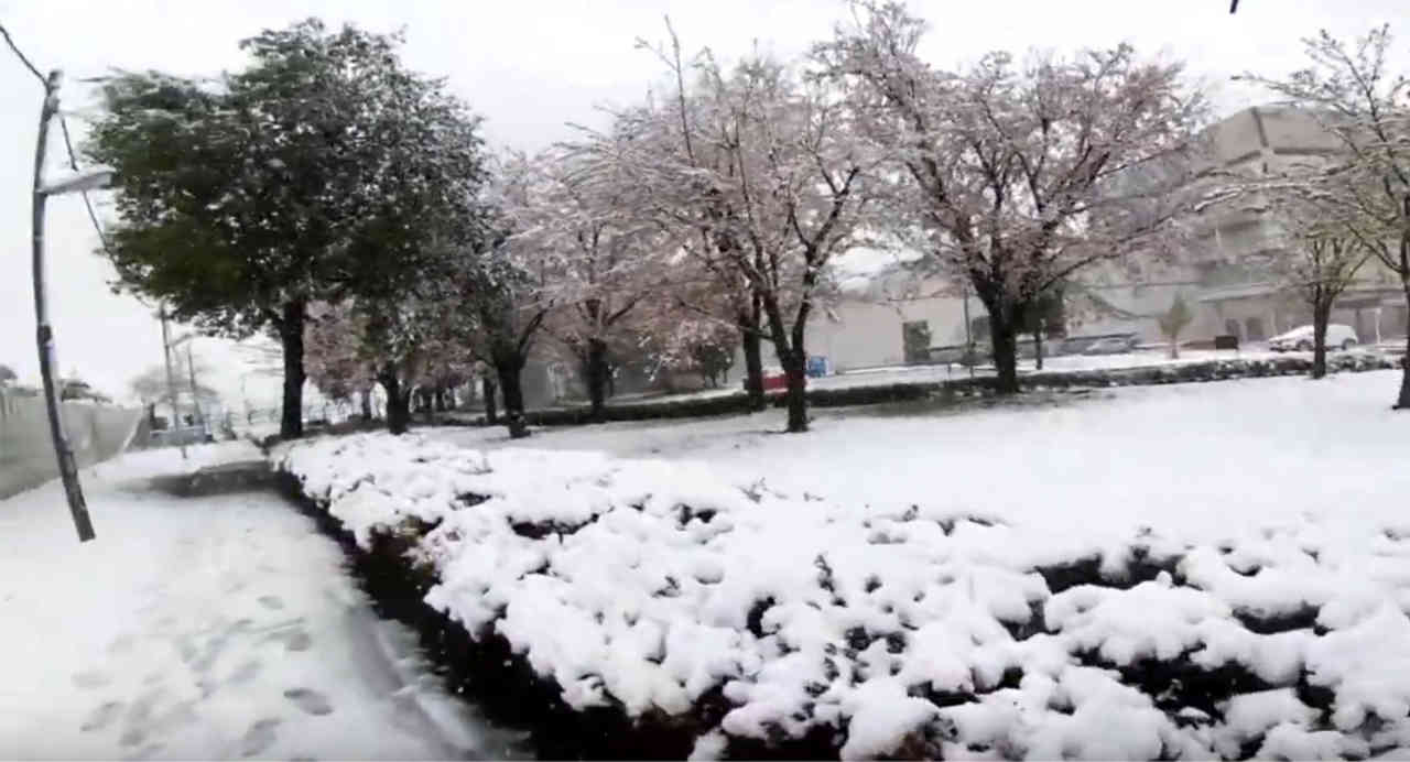 Incredibile Tokyo: da 25°C alla NEVE in sole 24 ore!