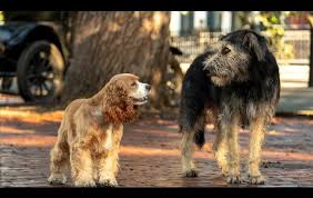 Lilli e il vagabondo, live action e ‘inclusivo’