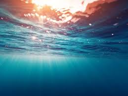 Mare: in Liguria laboratorio sottomarino per monitoraggio ambientale 