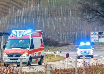 Muore travolto da albero in Alto Adige