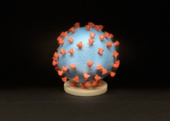 Nature, il coronavirus non è nato in laboratorio, origine naturale