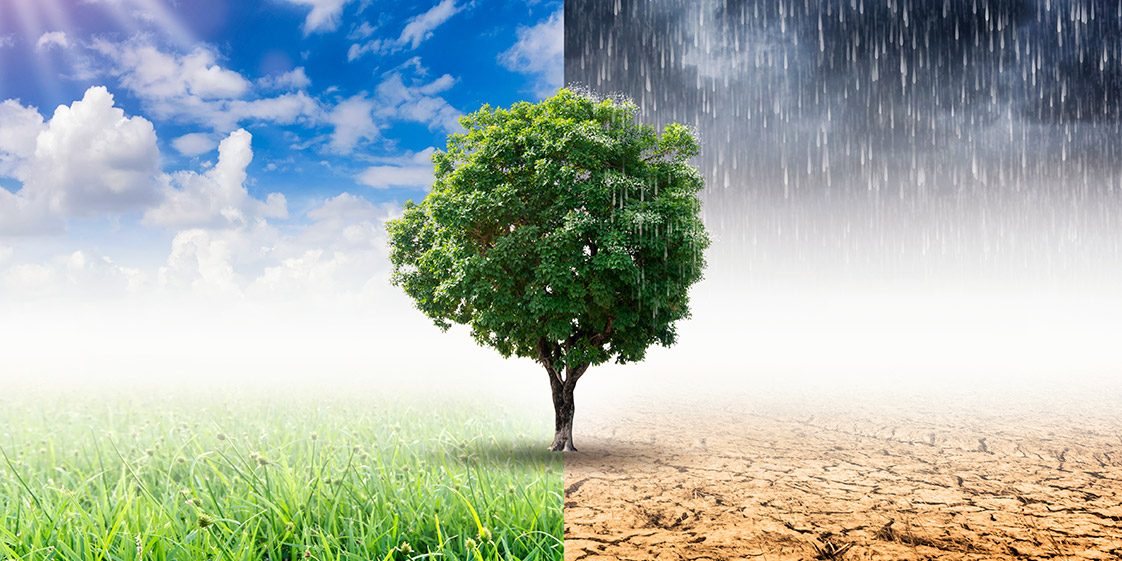 Clima: studio, nel 2019 in Italia aumento temperature record, 1600 eventi estremi 