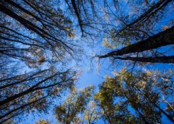 Parchi: Green List Iucn, 4 parchi italiani candidati 