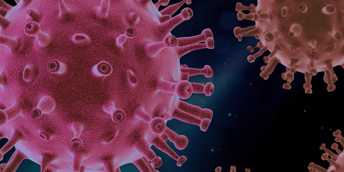 Perché nascono malattie come il CoViD-19