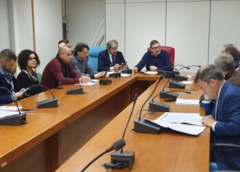 “Procedere in modo unitario per il Cis”