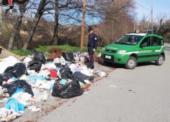 Rifiuti abbandonati,elevate sanzioni