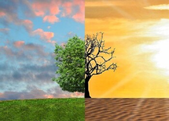 #scienzainvideo Annibale, Erik il Rosso e il riscaldamento globale LEZIONE