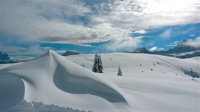 Sci:Fugatti, rispetto regole o si chiude