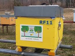 Sostenibilità: latte Torvis, 300mila api salvate con ‘Impolliniamo il Mondo’  