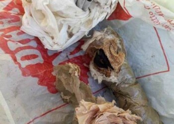 Tritolo nascosto in terreno, un arresto