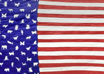 Venice and American Studio Glass