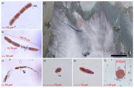 Alpi, i ghiacciai minacciati dall’alga che li tinge di rosso