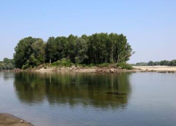 Ambiente: ‘alieno’ 1 pesce d’acqua dolce su 2, 1 mammifero su 8  