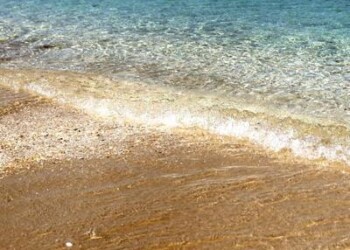 Ambiente: studio, chiudere alcune spiagge per arricchire la biodiversità  