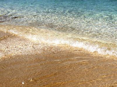 Studio: Chiudere alcune spiagge per arricchire la biodiversità