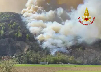 Bosco in fiamme a Ne, forse doloso