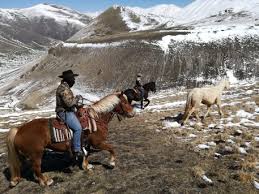 Transumanza cavalli a Castelluccio