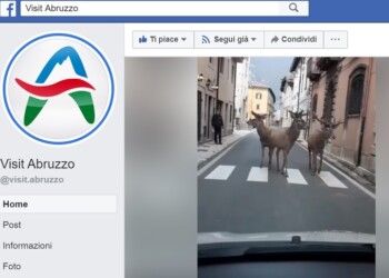 Cervi a spasso nel borgo, video virale
