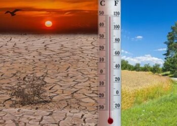 Clima: Copernicus, 11 dei 12 anni più caldi di sempre dal 2000 a oggi  