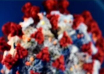 Coronavirus: al via progetto Pulvirus su legame Covid-inquinamento 