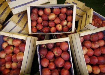 Coronavirus: Coldiretti, -70% fatturato agriturismo
