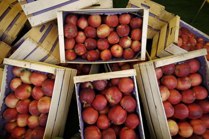 Coronavirus: Coldiretti, -70% fatturato agriturismo