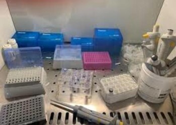 Coronavirus: in Alto Adige i decessi raggiungono quota 200