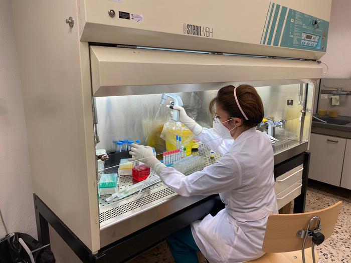 Coronavirus: report, in Sicilia contagio contenuto