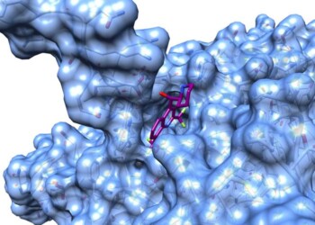 Coronavirus, scoperte 35 molecole per combatterlo